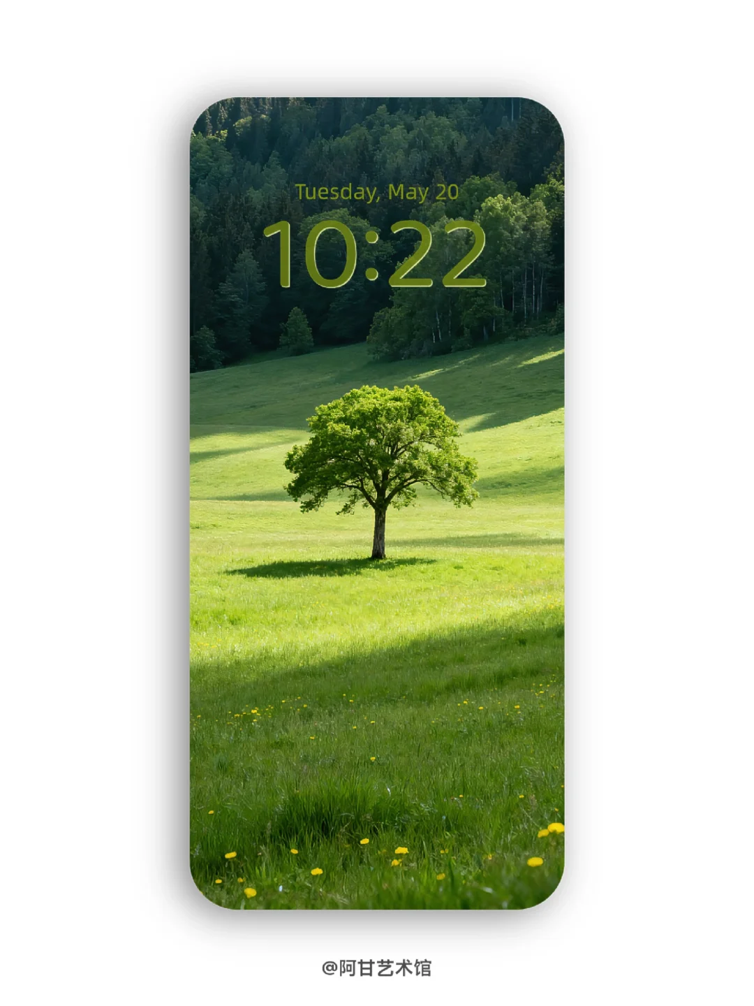 “风是自由的 希望你也是”｜壁纸