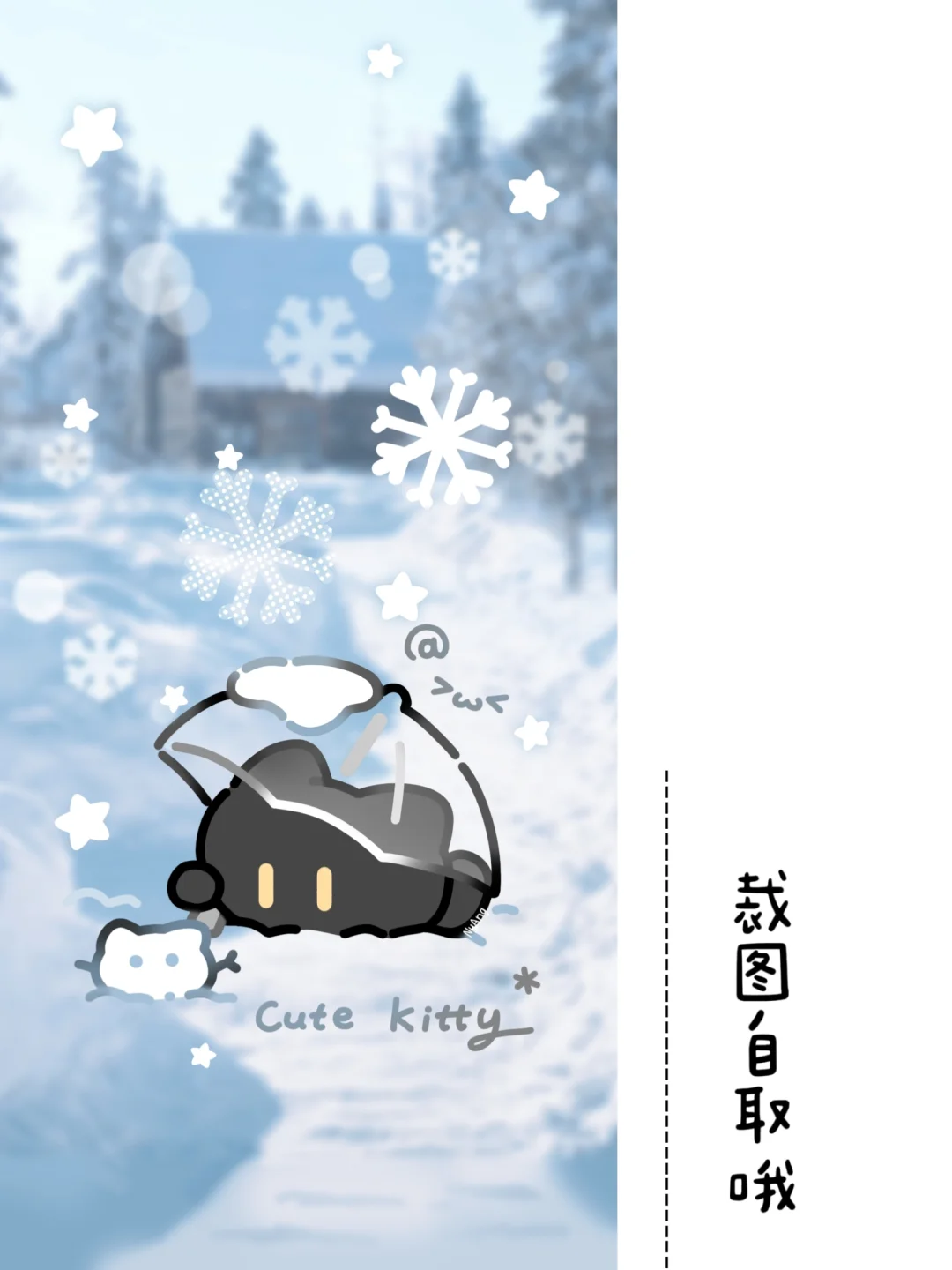 🌨️雪地小黑猫壁纸来啦❄️