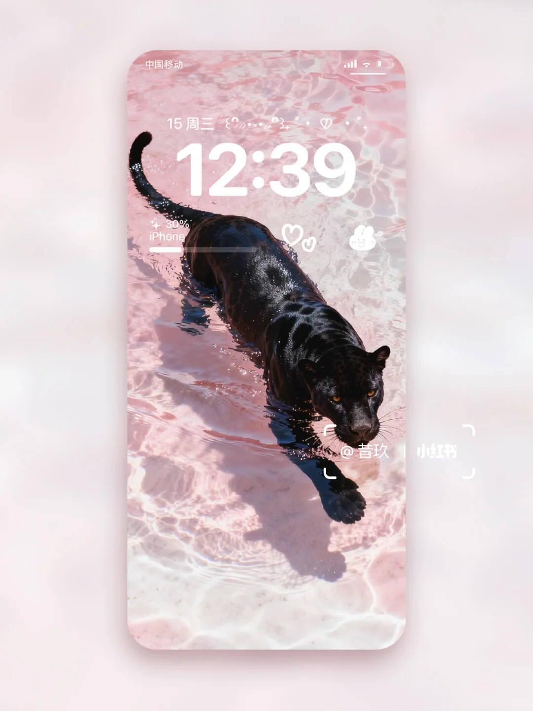 黑豹与粉色果冻海 流水生财｜豹富🐆