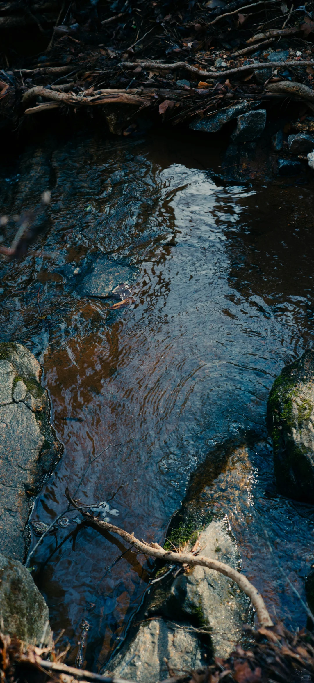 山林湖海 手机壁纸