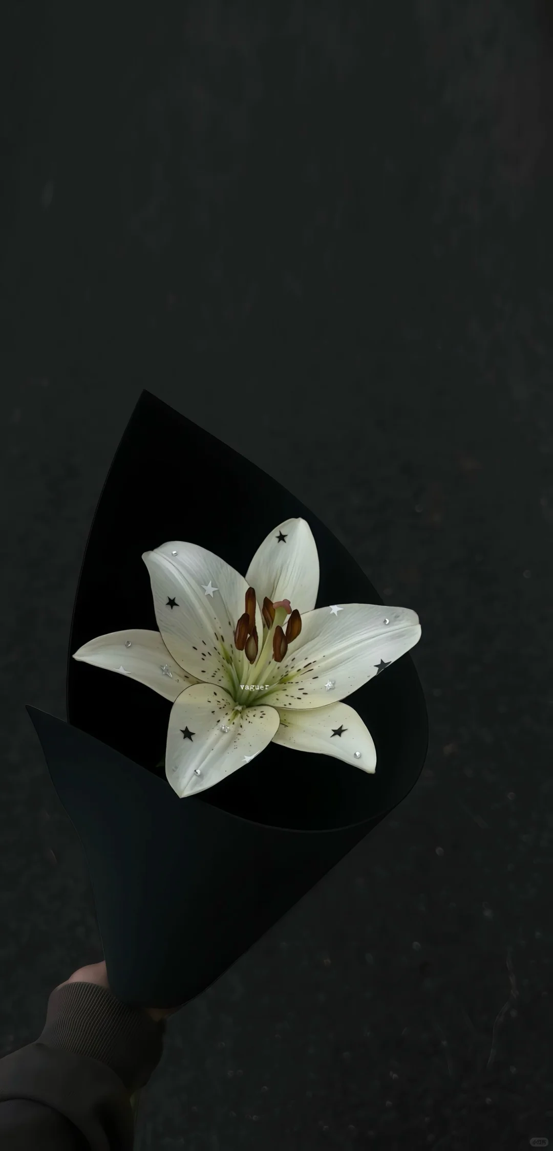 💒 𝐒𝐡𝐚𝐫𝐞｜黑白鲜花壁纸