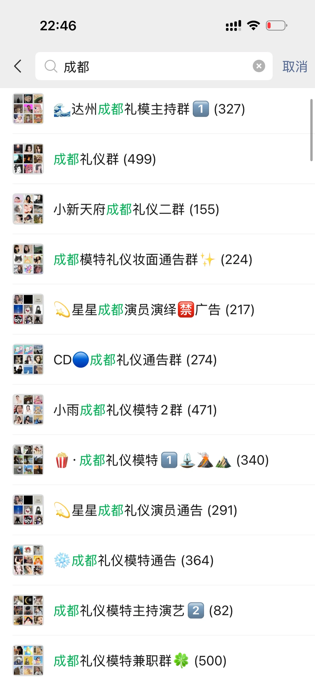 成都礼仪模特群