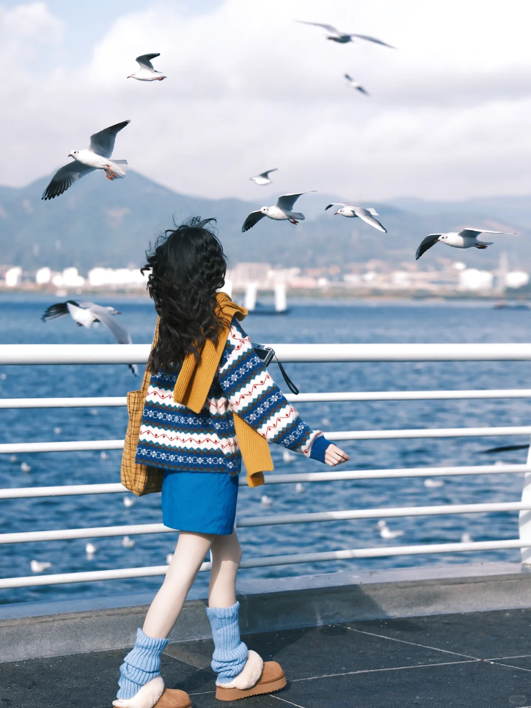 海边拍照 蓝调时刻🎞️冬天与海鸥都如约而至