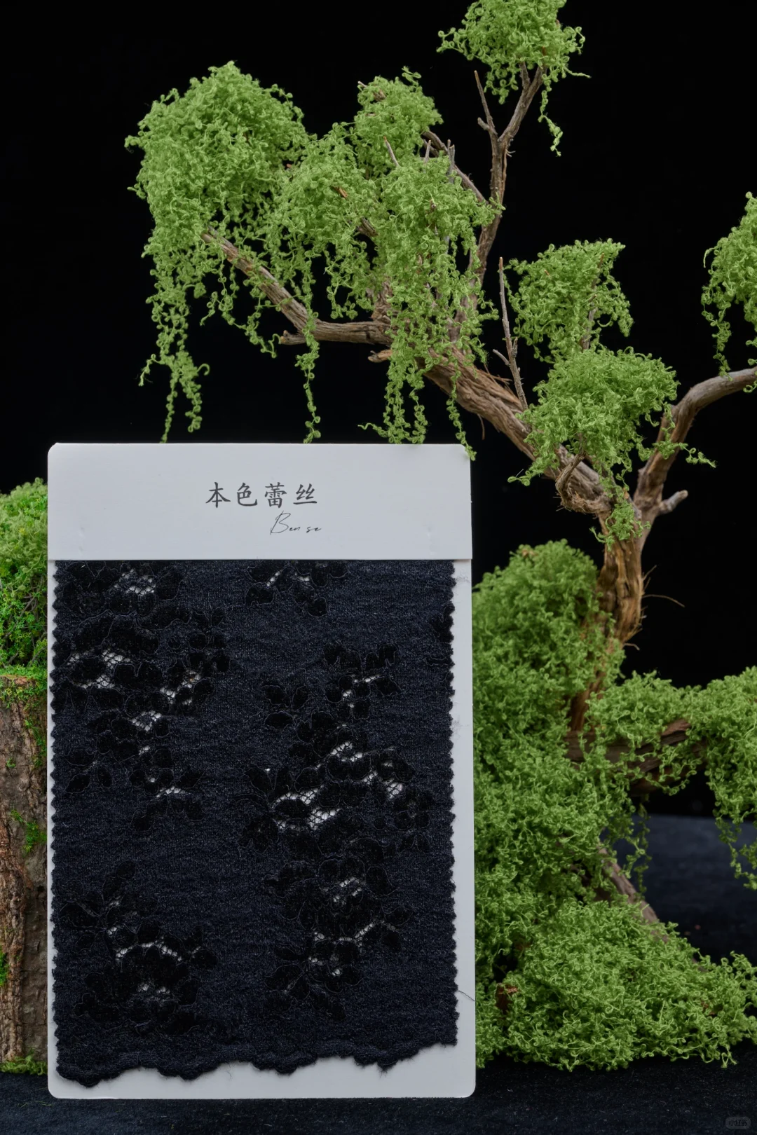 这种质感的花真的爱了|秋冬蕾丝的魅力✨