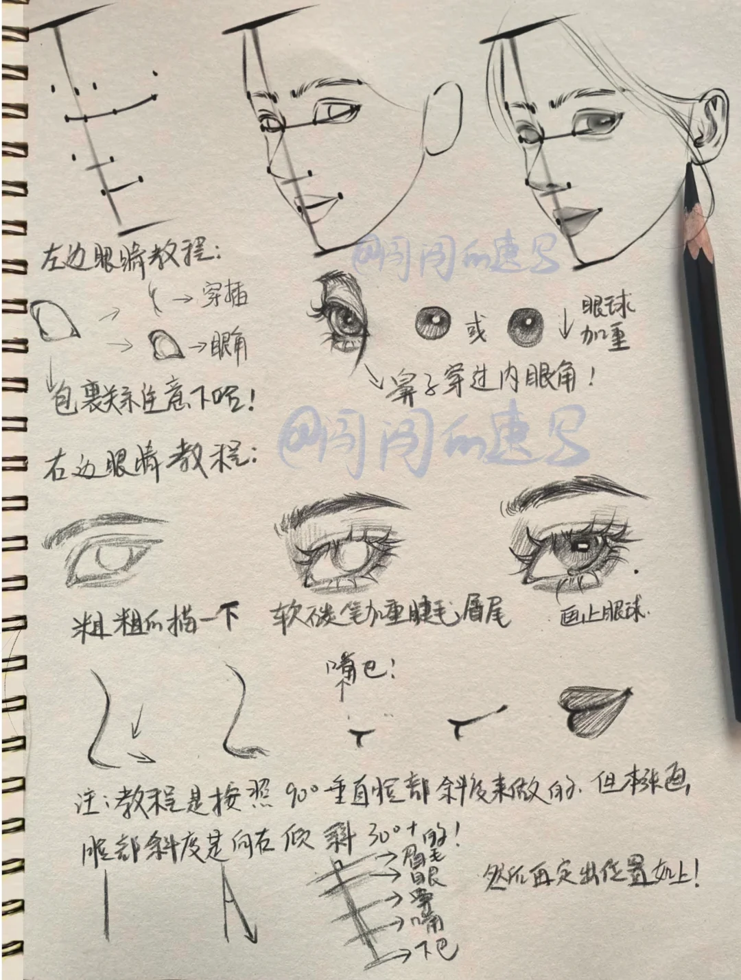 3/1侧｜画繁为简｜太细了妹妹会了🦋