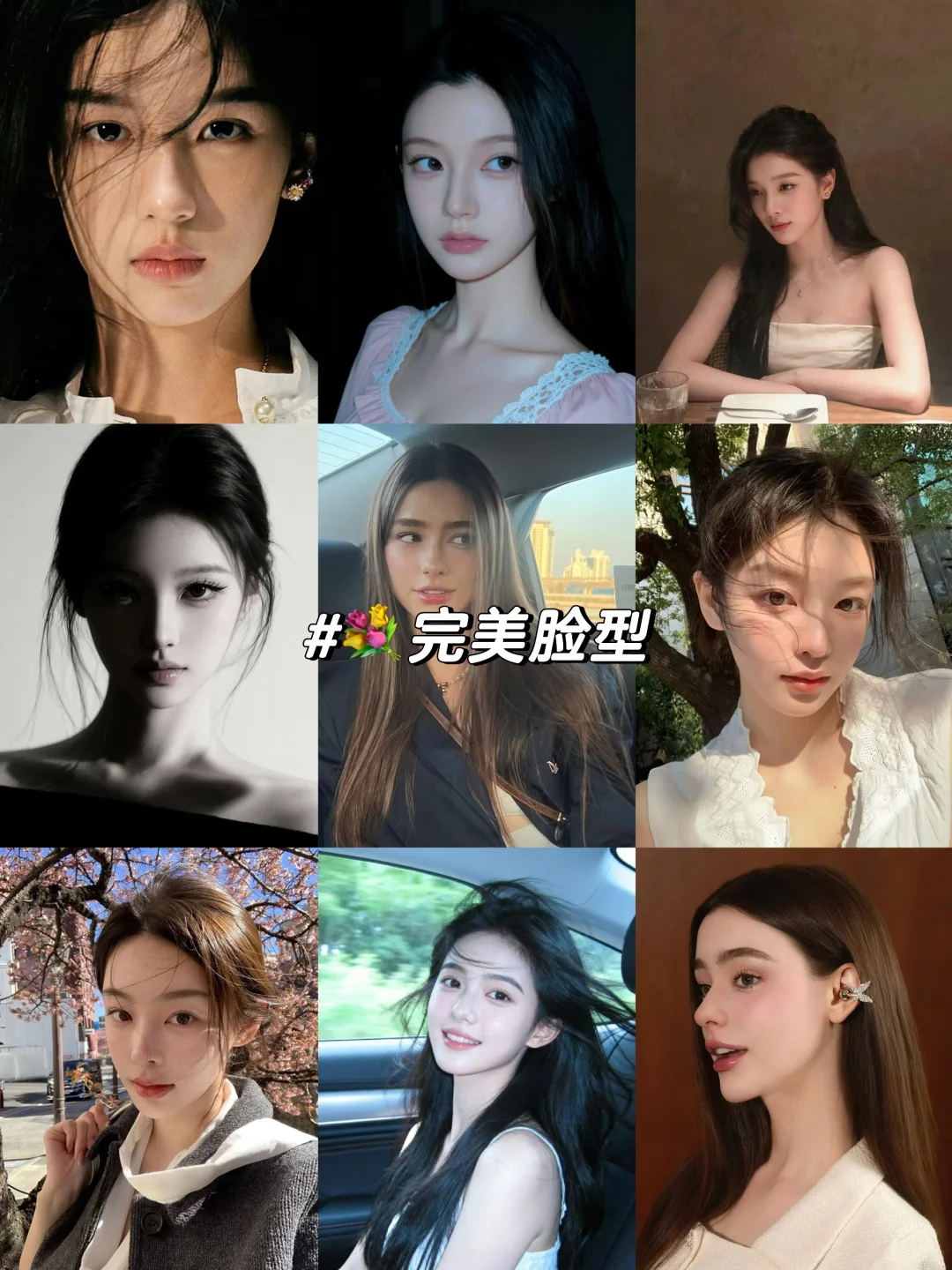 💐视觉化素材｜完美脸型