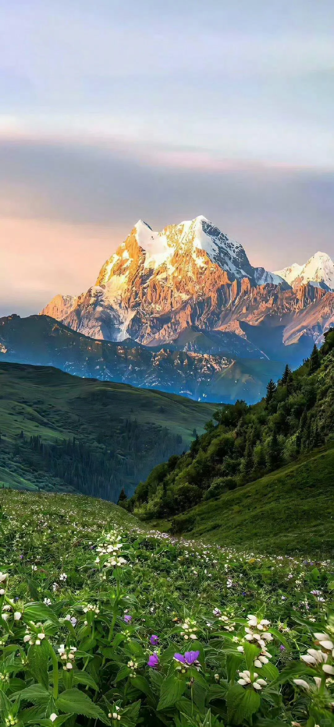 𝐒𝐡𝐚𝐫𝐞｜难得一见的绝美壁纸