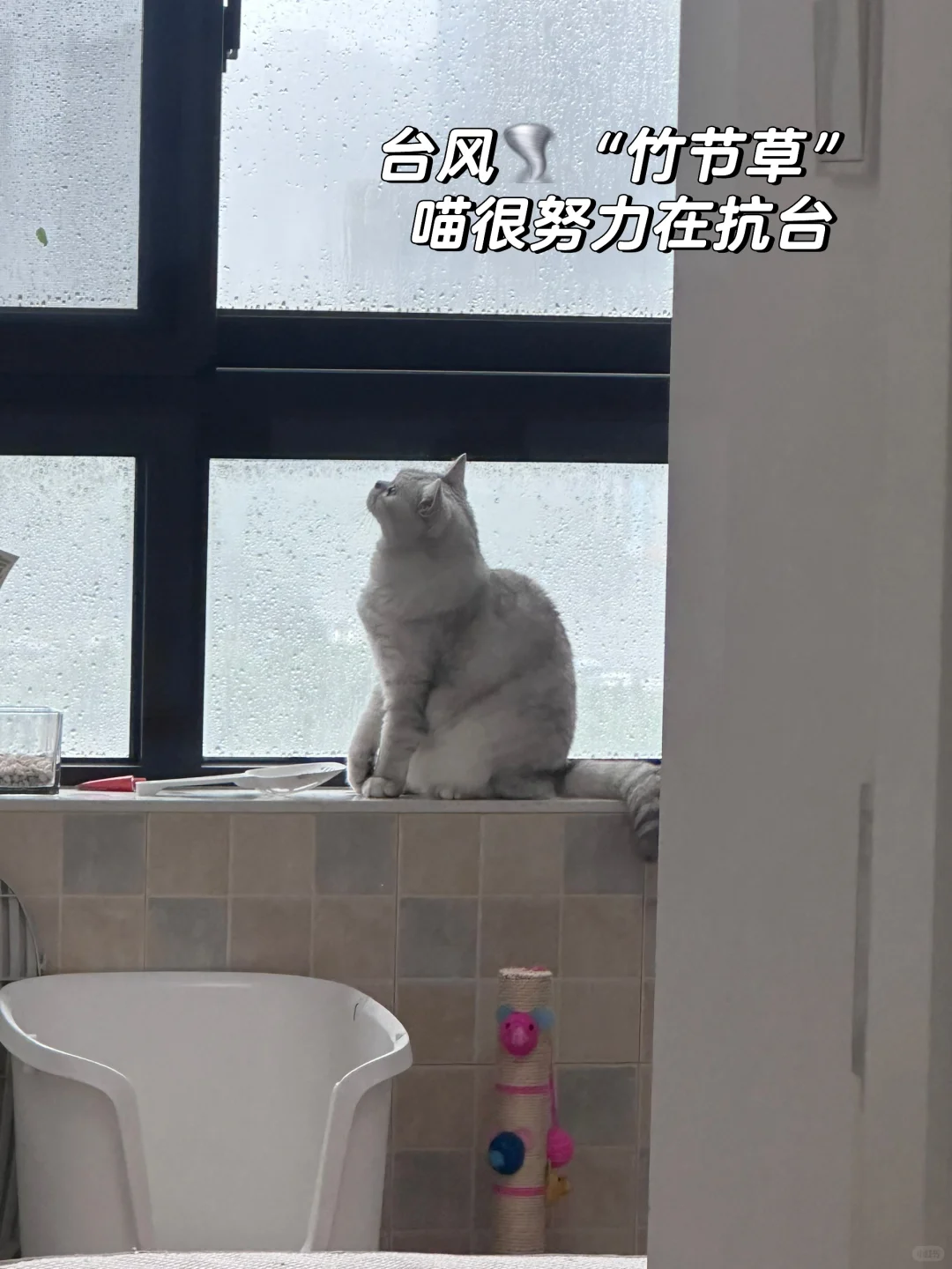 39岁姐姐｜健身5年，我把自己重新养了一遍