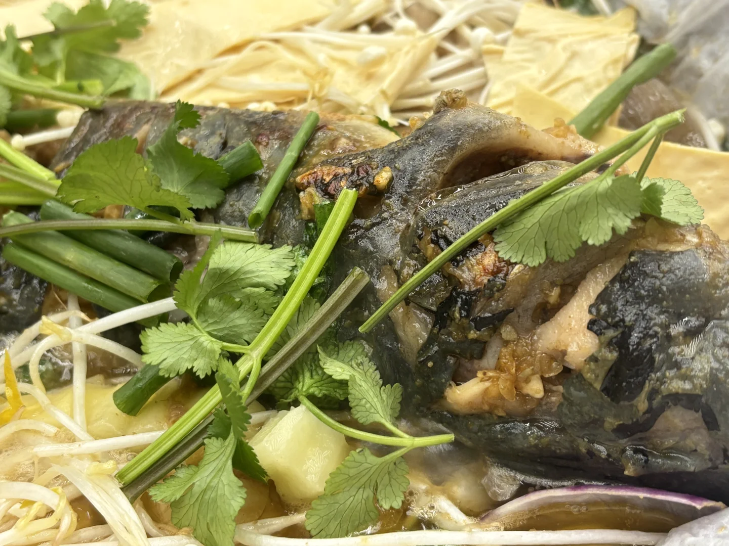 花了159.9块的泳池值吗✅