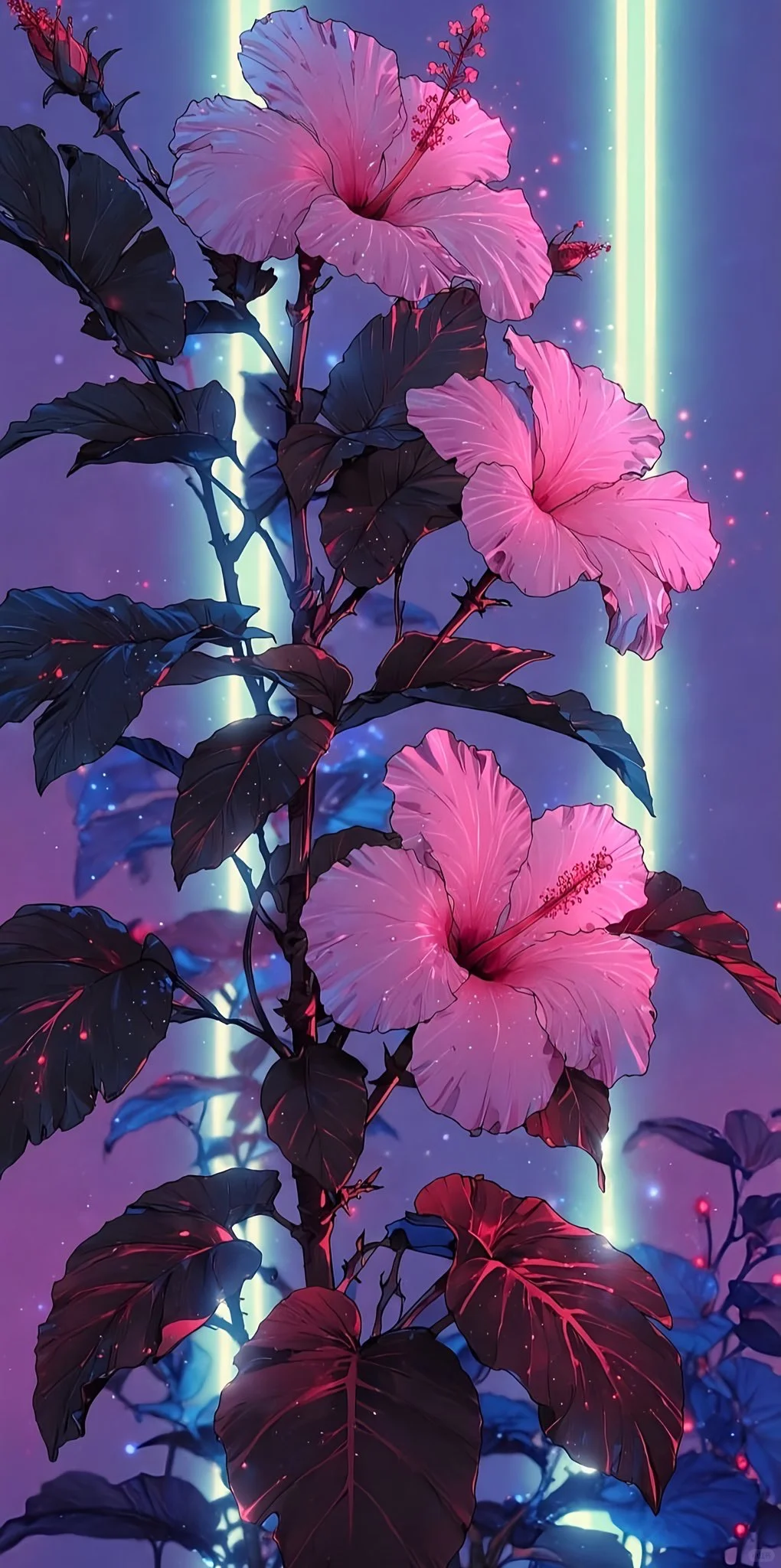 壁纸分享、今日壁纸更新～