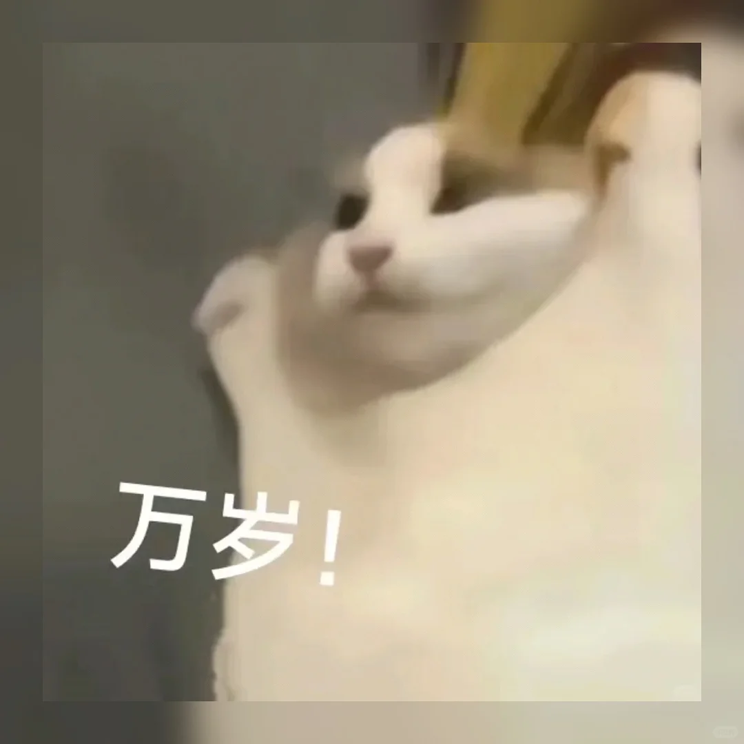 萌到犯规！🔥私藏99组治愈系聊天表情包，