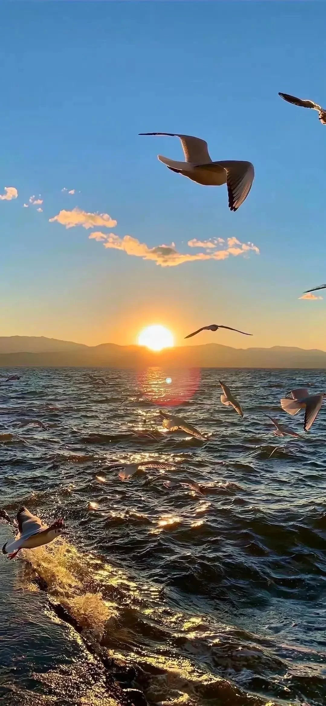 日落是新一天开始的征兆