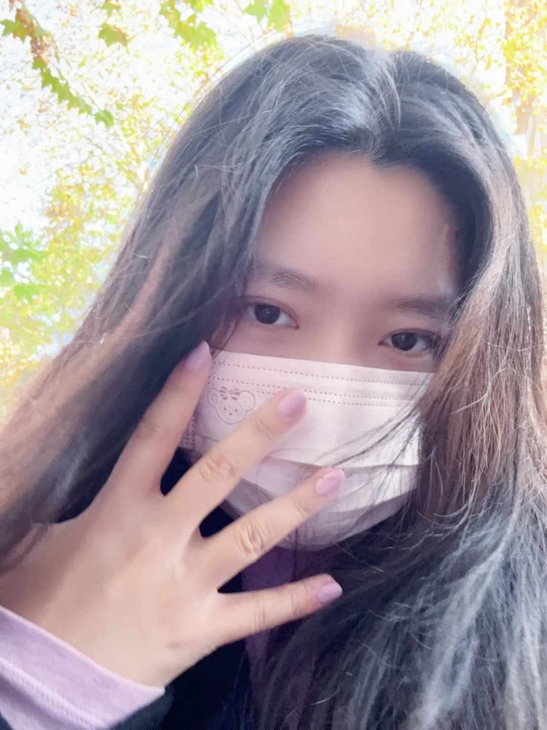 淡淡的老式女友