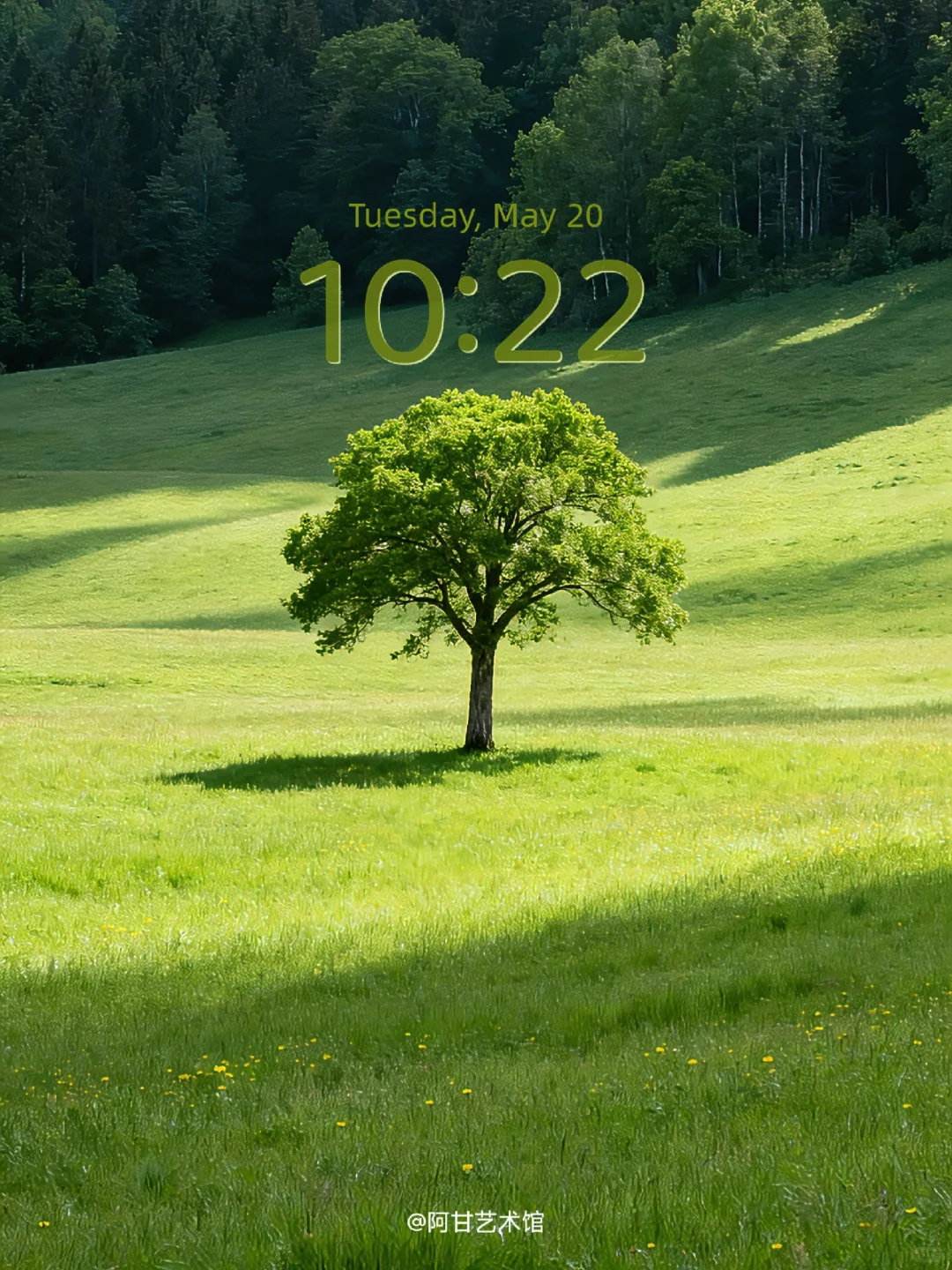 “风是自由的 希望你也是”｜壁纸