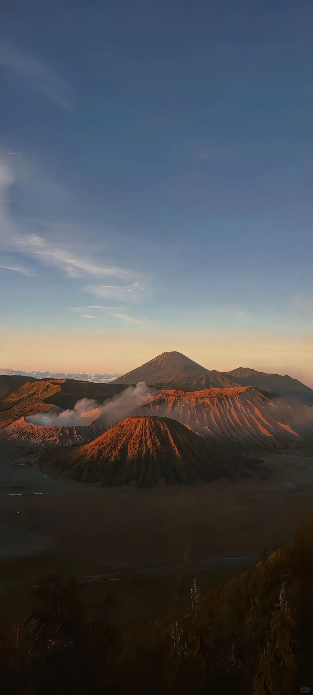 “𝗦𝗛𝗔𝗥𝗘：永久不换的手机壁纸”