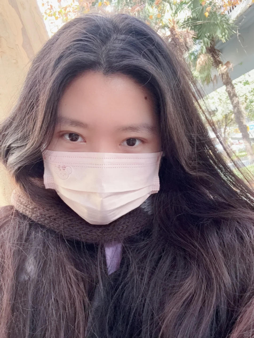 淡淡的老式女友