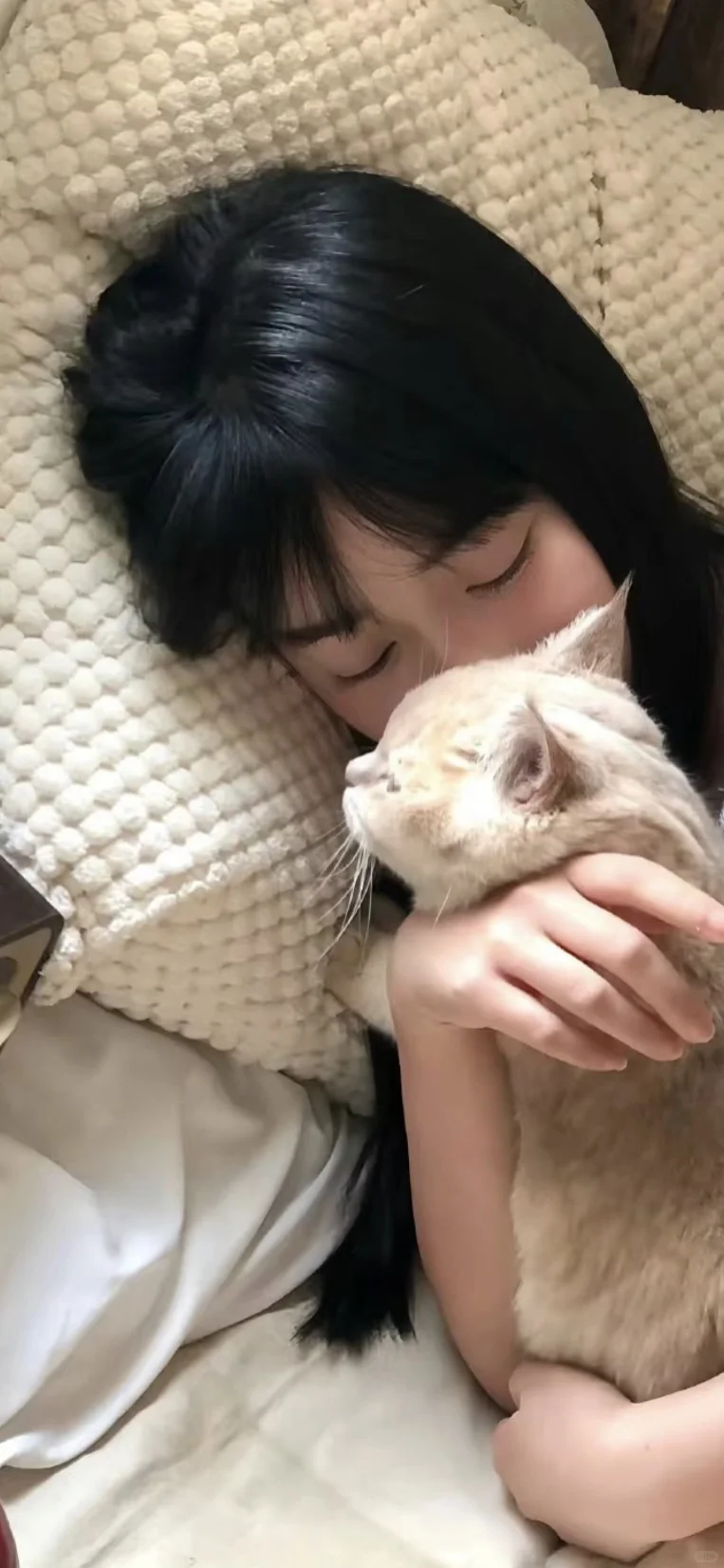 氛围感壁纸！高质量