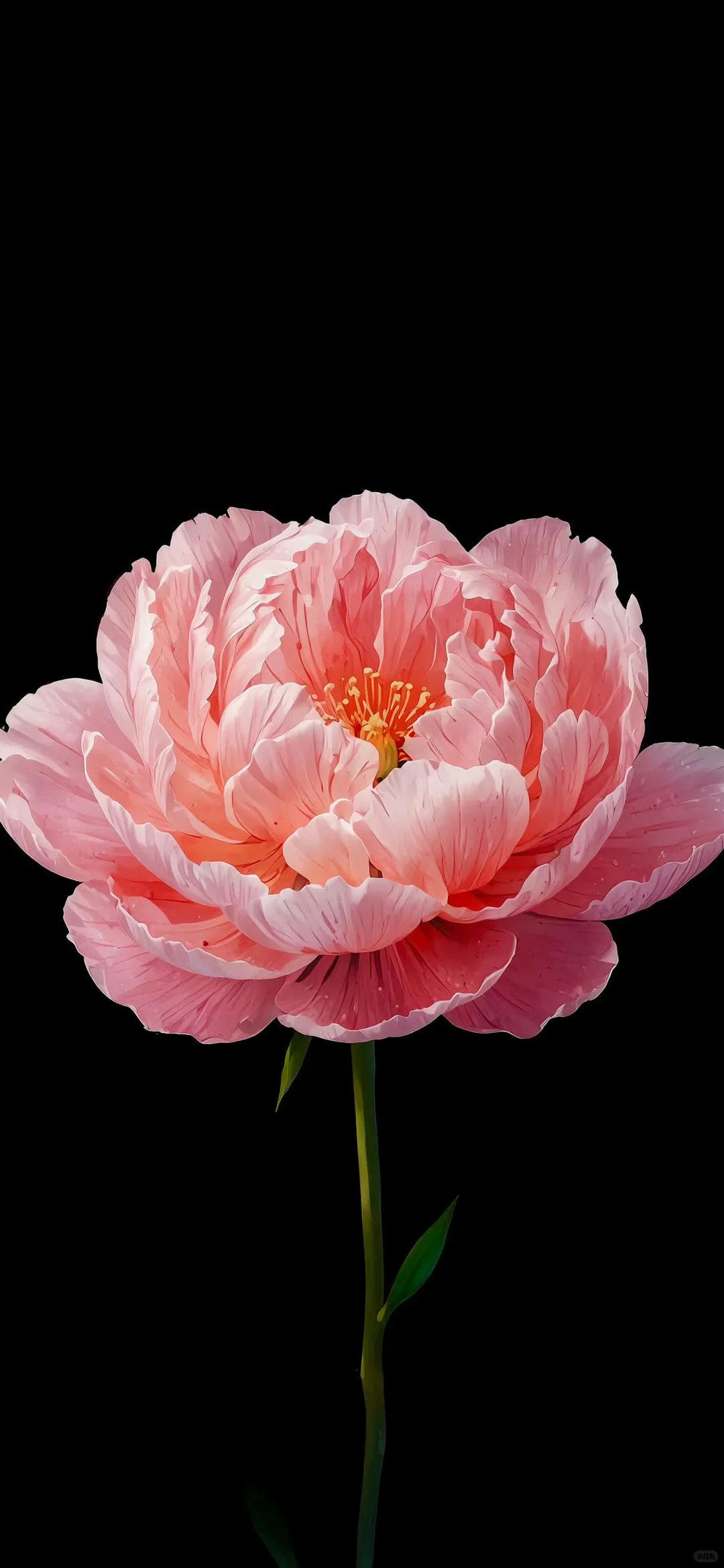 超好看的暗色系手机全屏壁纸✌︎