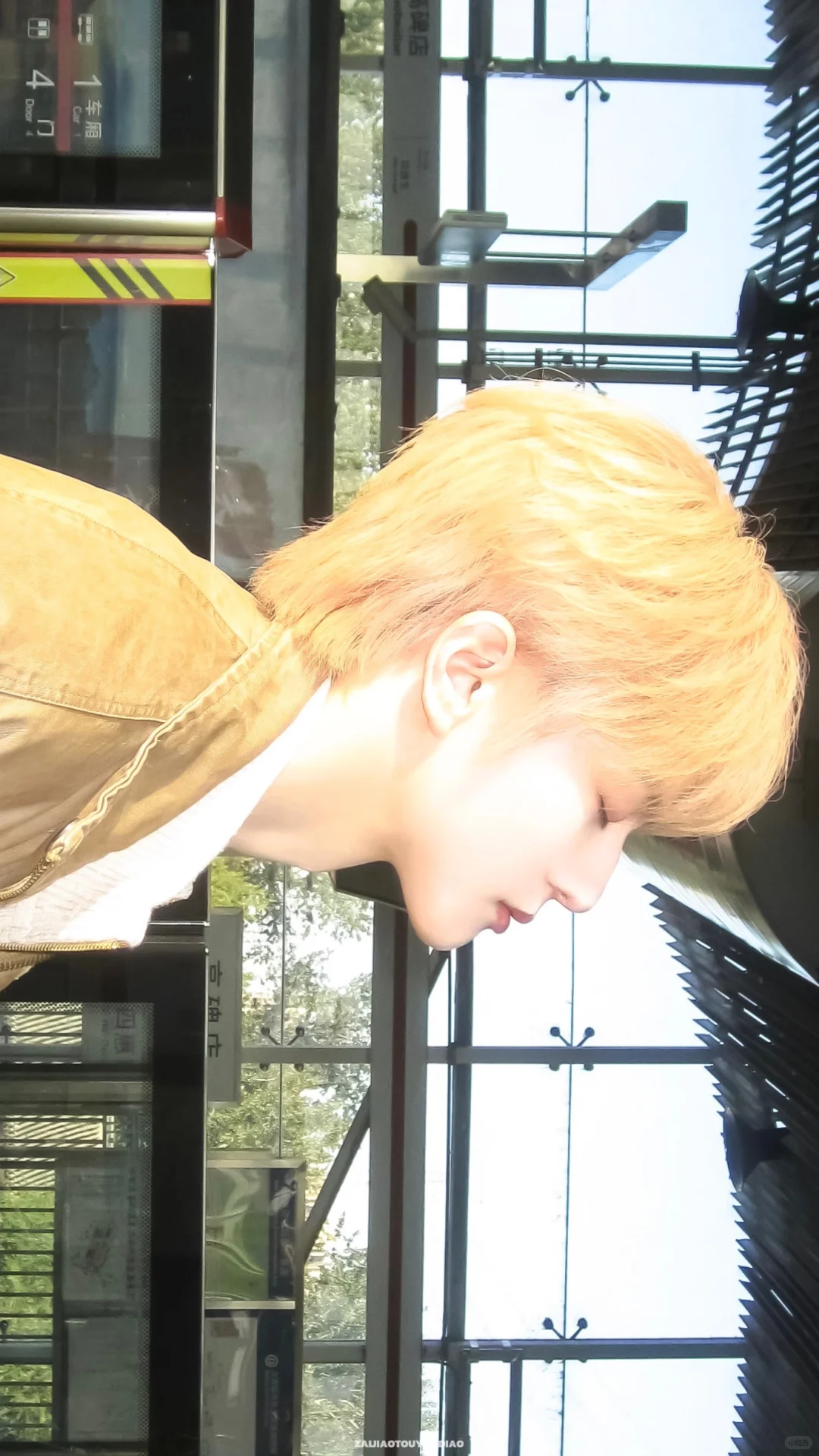 Share壁纸｜阳光下☀️