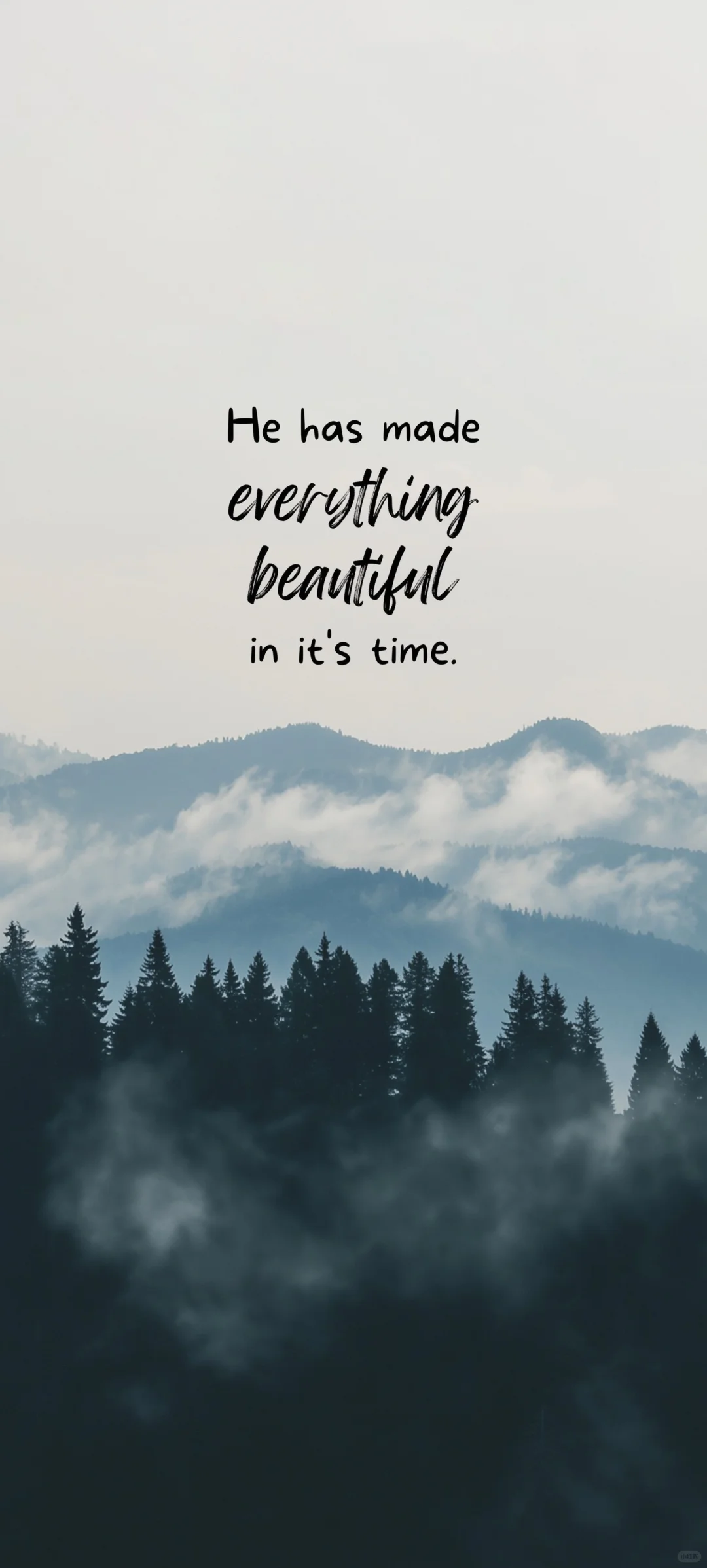 壁纸分享、今日壁纸更新～