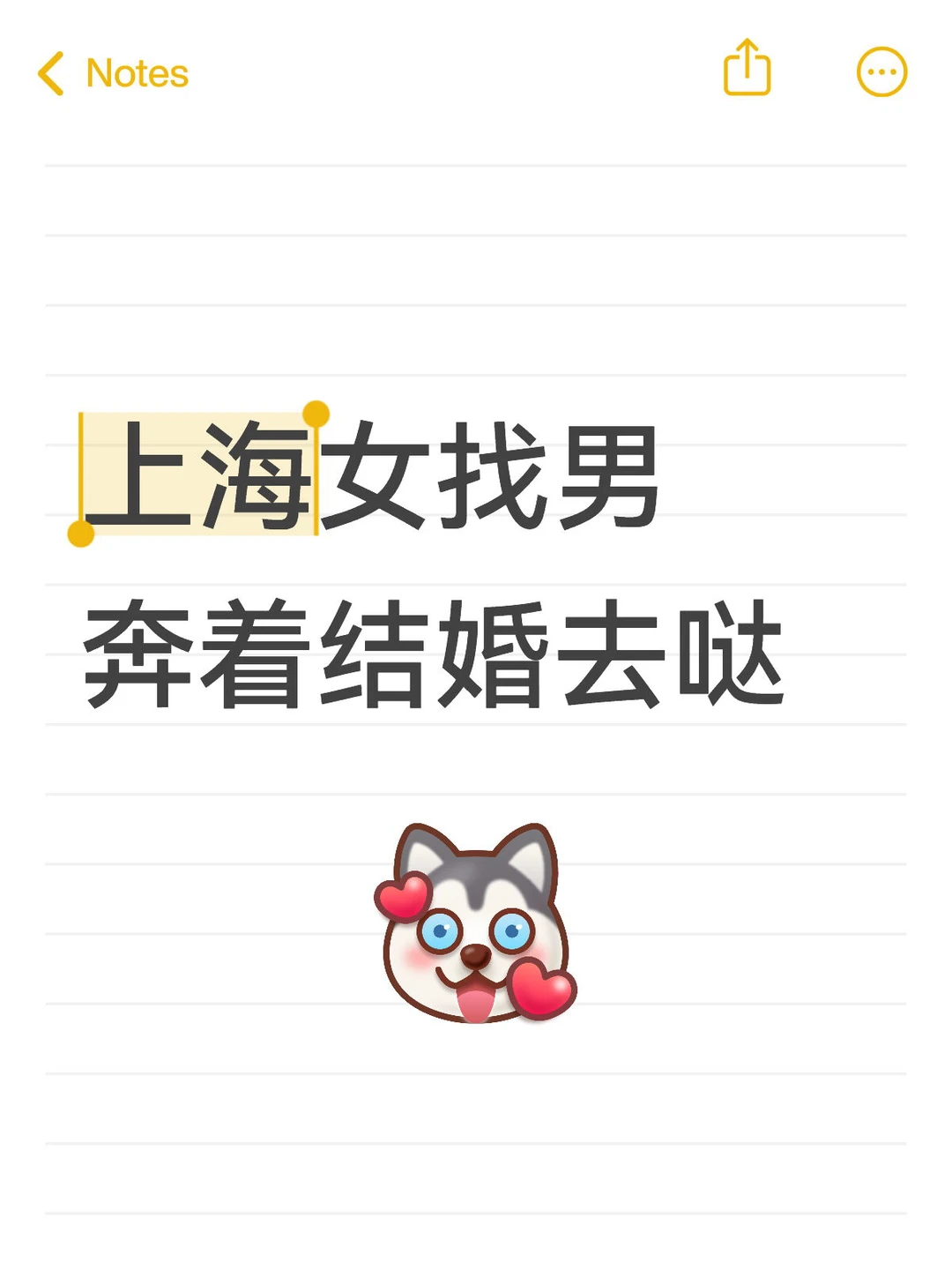 上海女找个男朋友