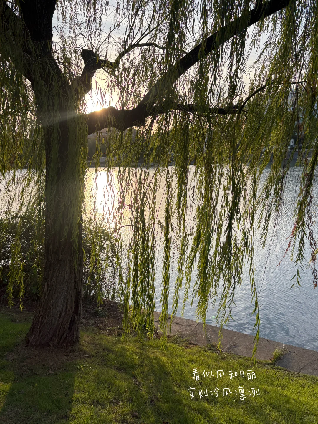 瘦手臂，只在呼吸之间