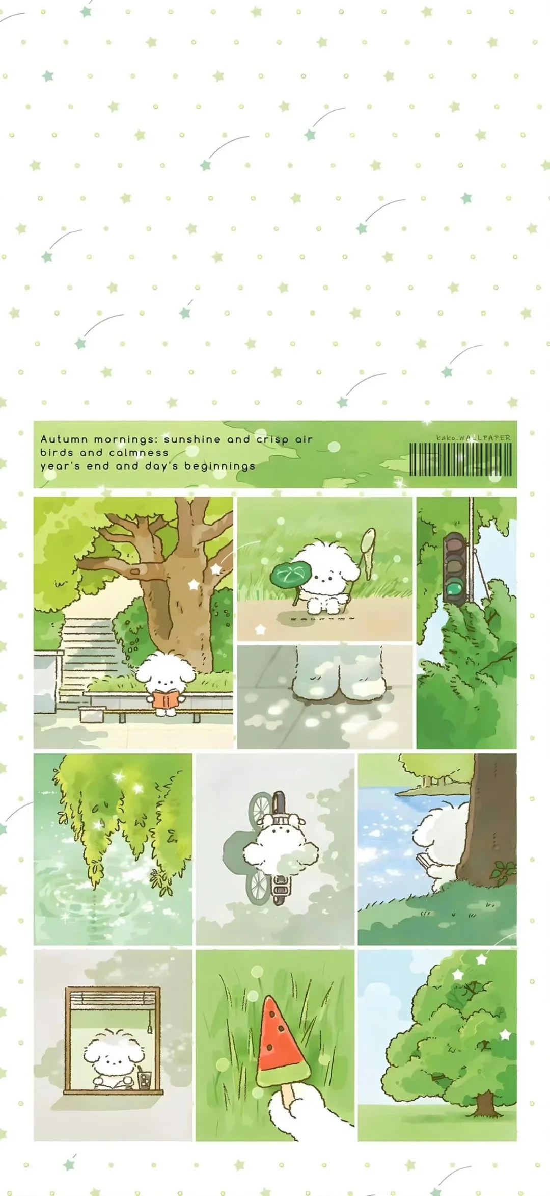 20251205手机壁纸｜套图壁纸～