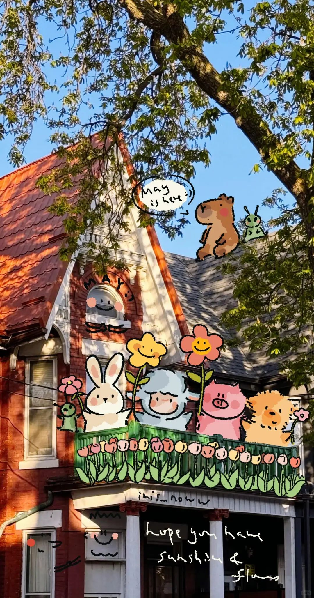 治愈系｜季节萌宠贴贴壁纸✨