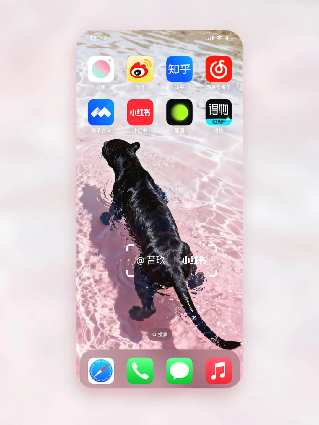 黑豹与粉色果冻海 流水生财｜豹富🐆