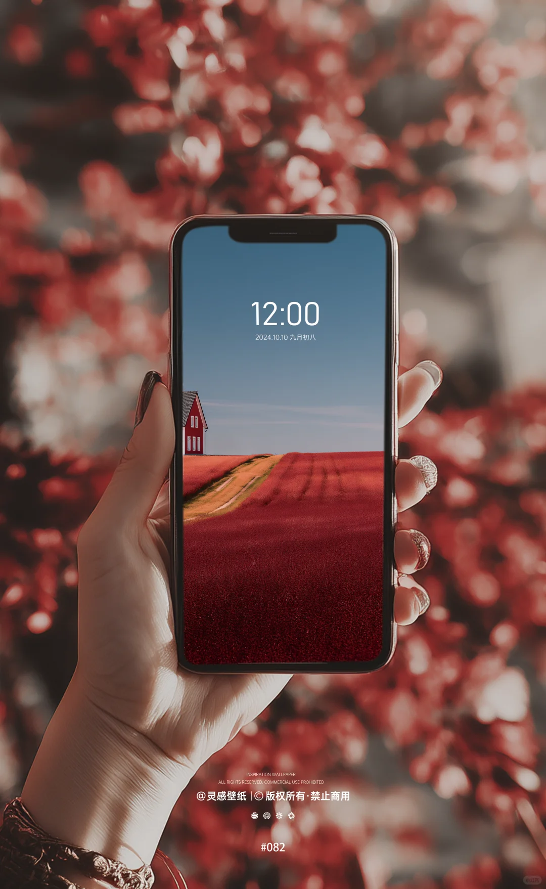 壁纸大放送|把「秋日焦糖」揣进手机里🍂