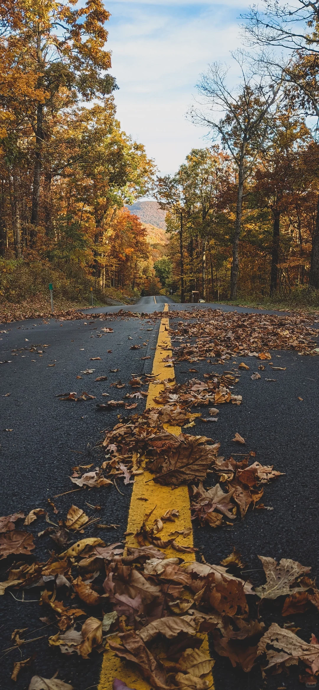 高清手机壁纸分享合集｜027