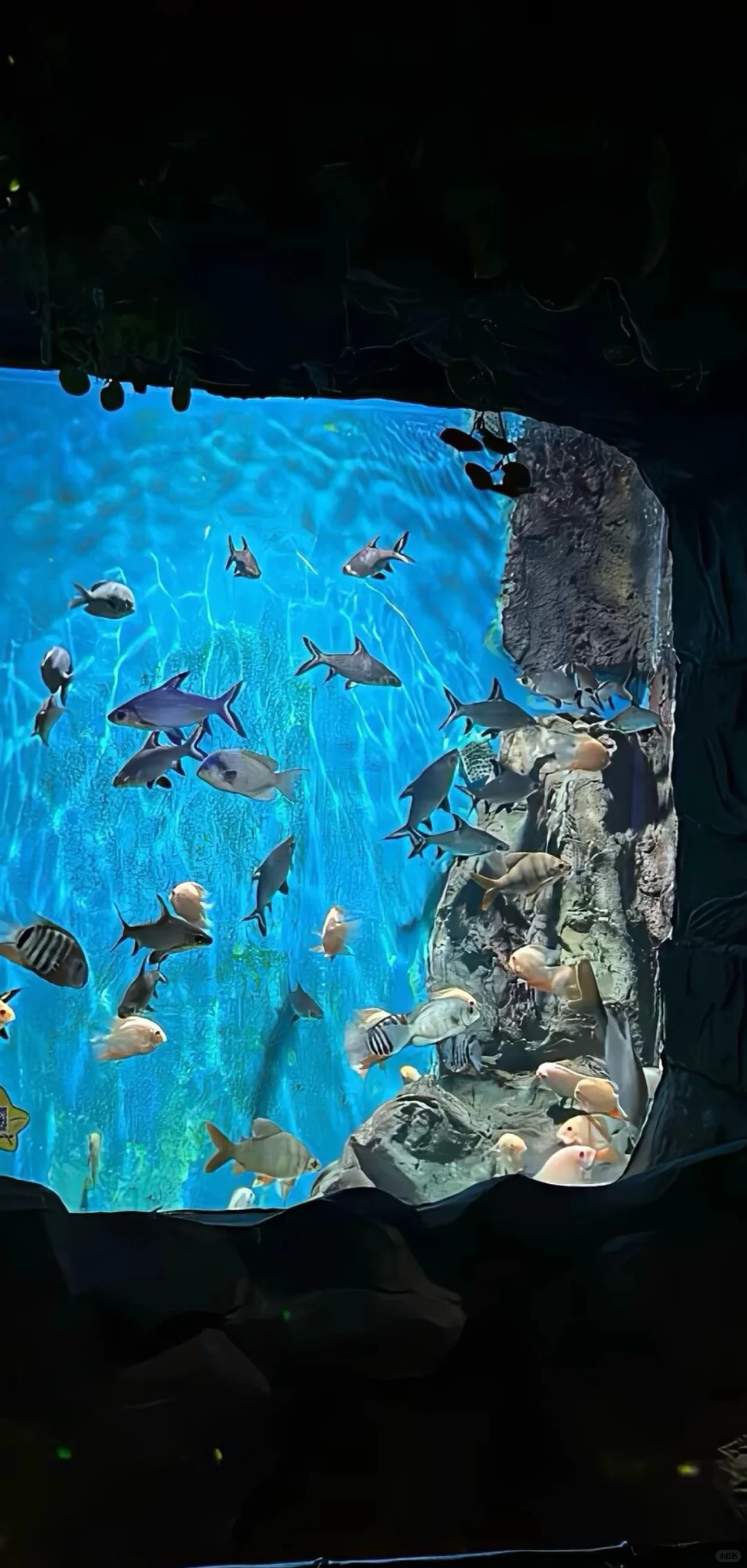 壁纸｜小众高级氛围感壁纸推荐