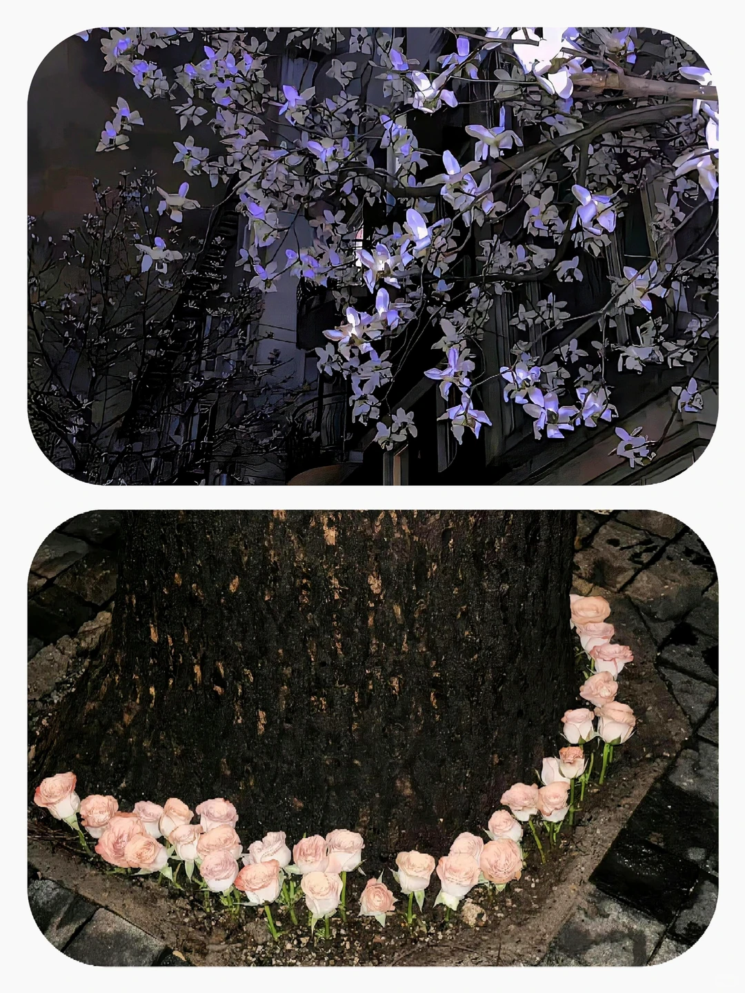 Share｜12张背景图