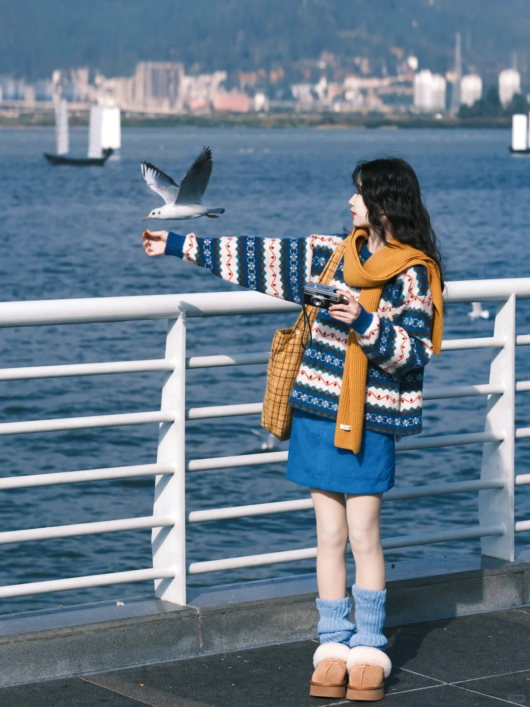 海边拍照 蓝调时刻🎞️冬天与海鸥都如约而至