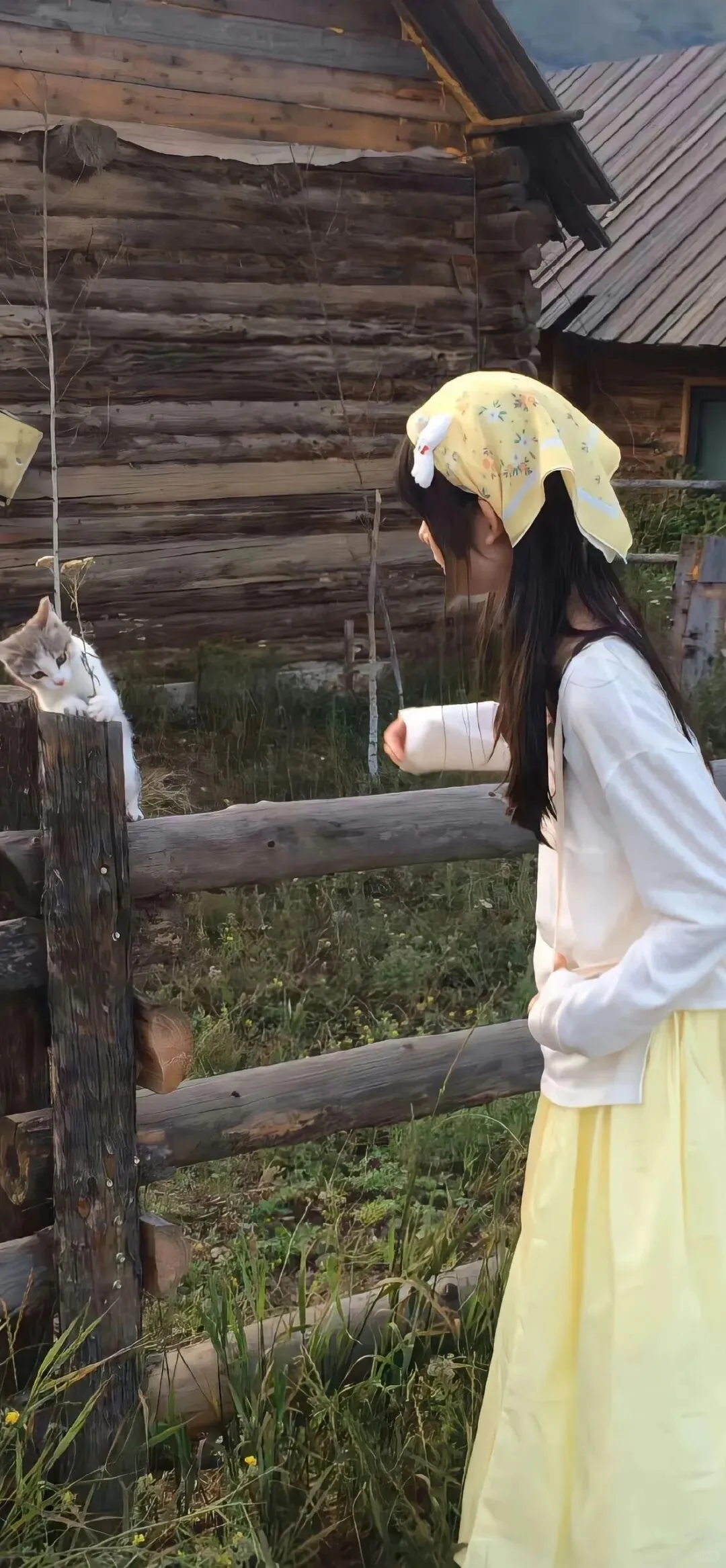 壁纸｜干净自由4K高清手机