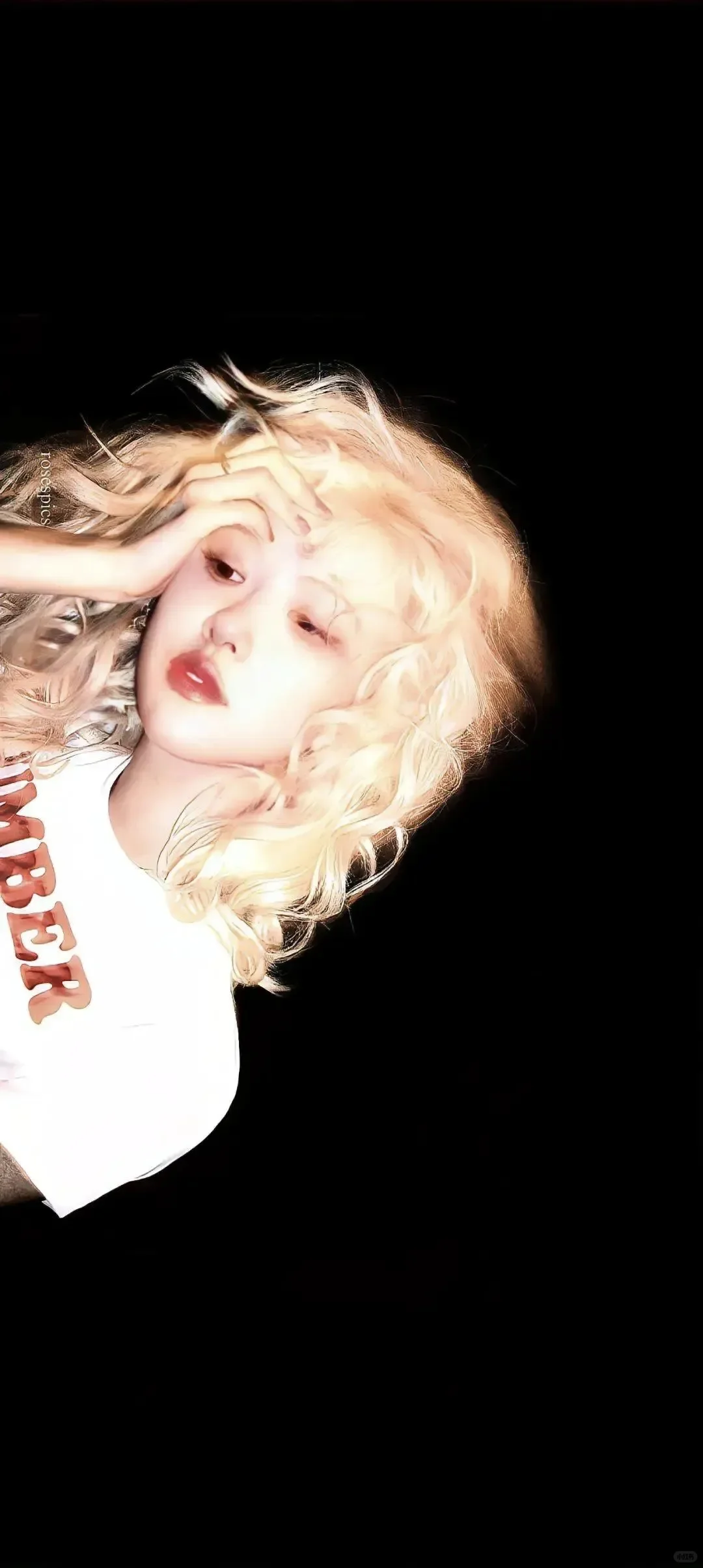 哇哇哇，是Rose壁纸！