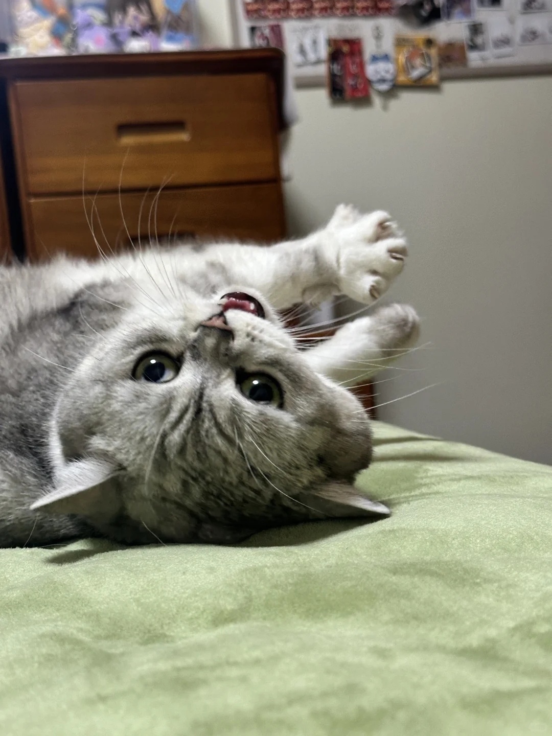 可是她真的很娇诶