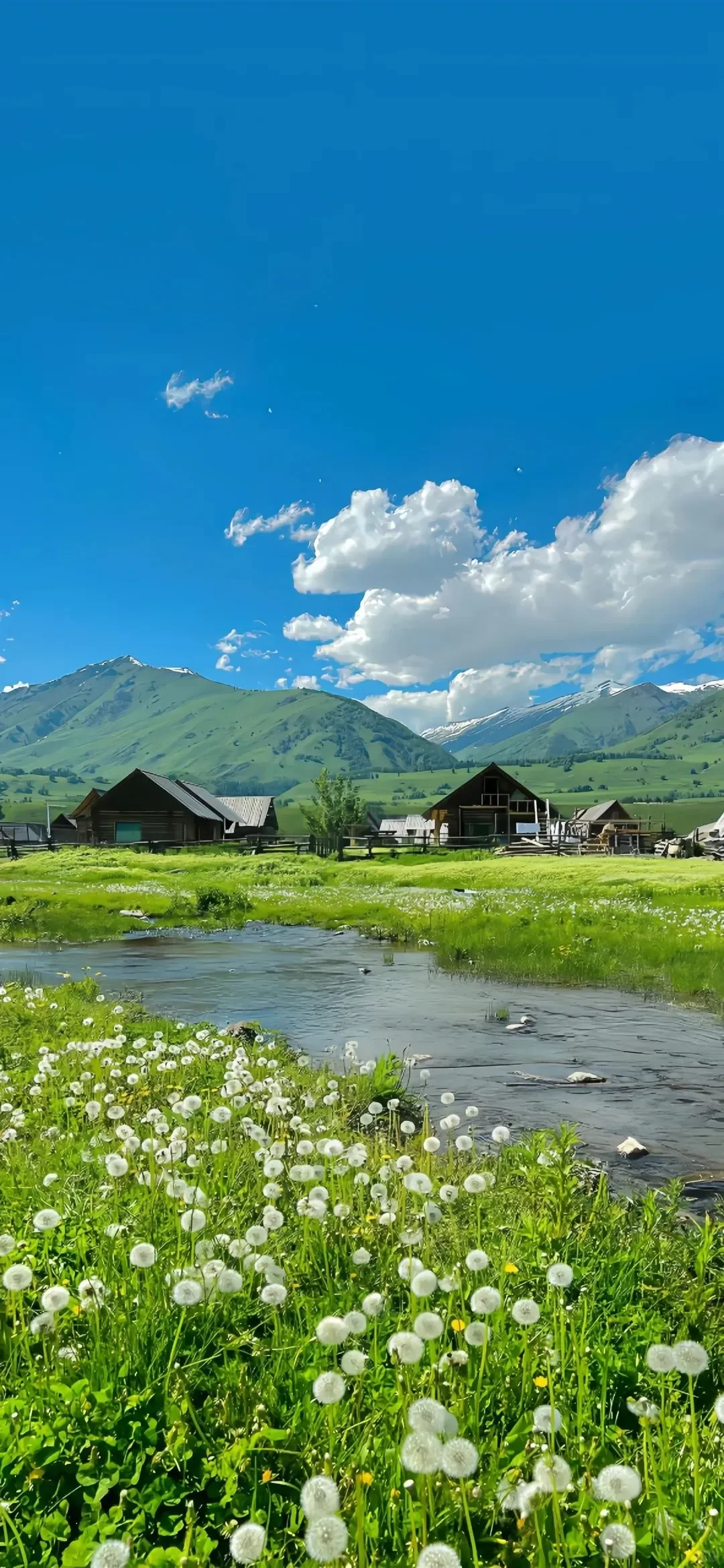 December 7, 2025｜壁纸