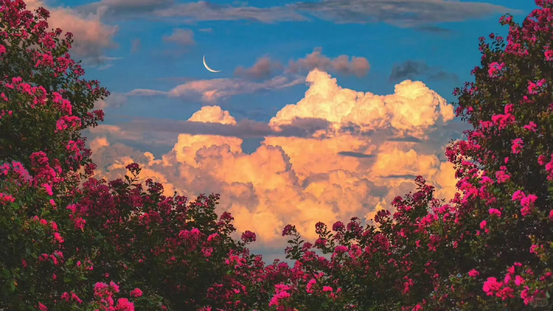 超高清电脑壁纸ipad壁纸