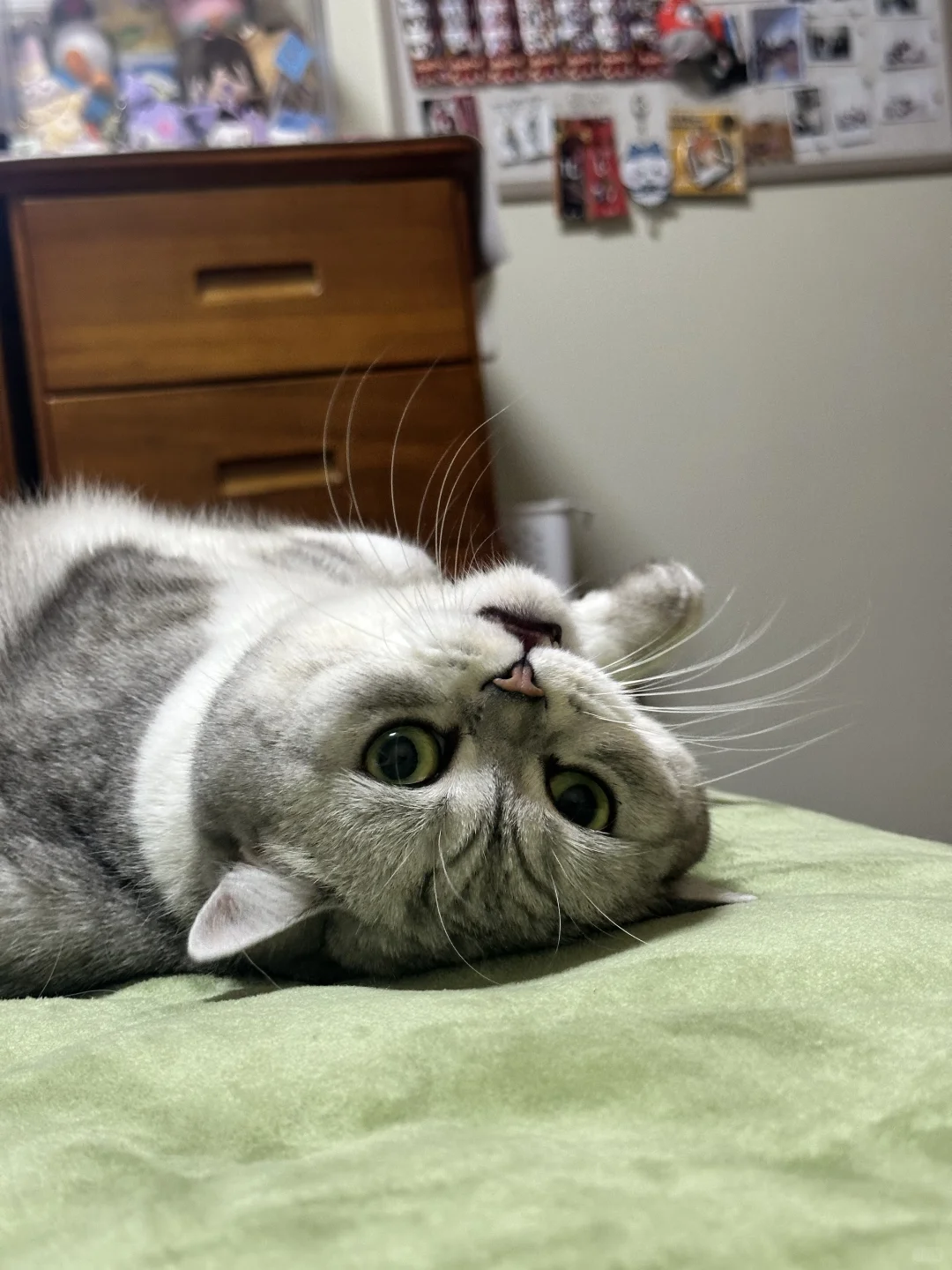 可是她真的很娇诶