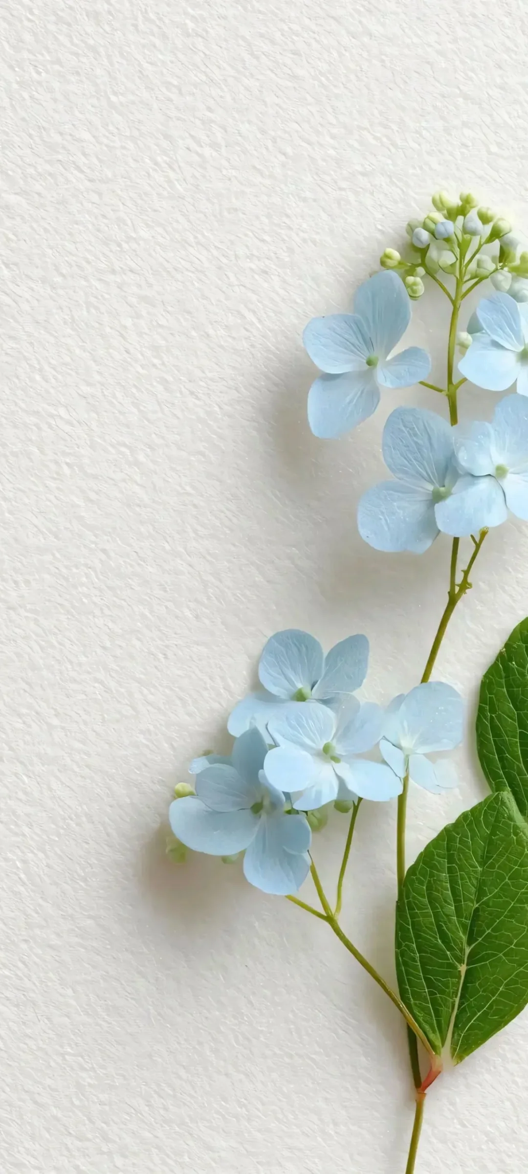 14张治愈系手机壁纸，治愈你的所有不开心！