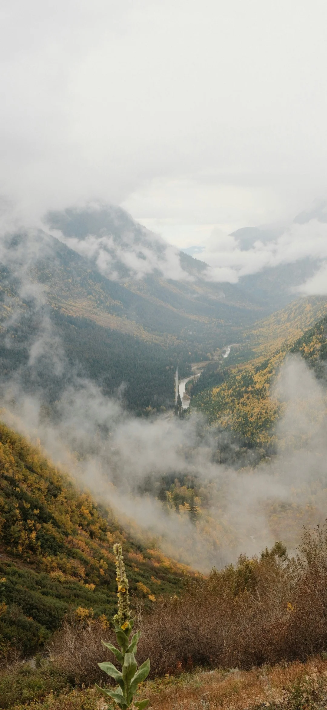 山林湖海 手机壁纸