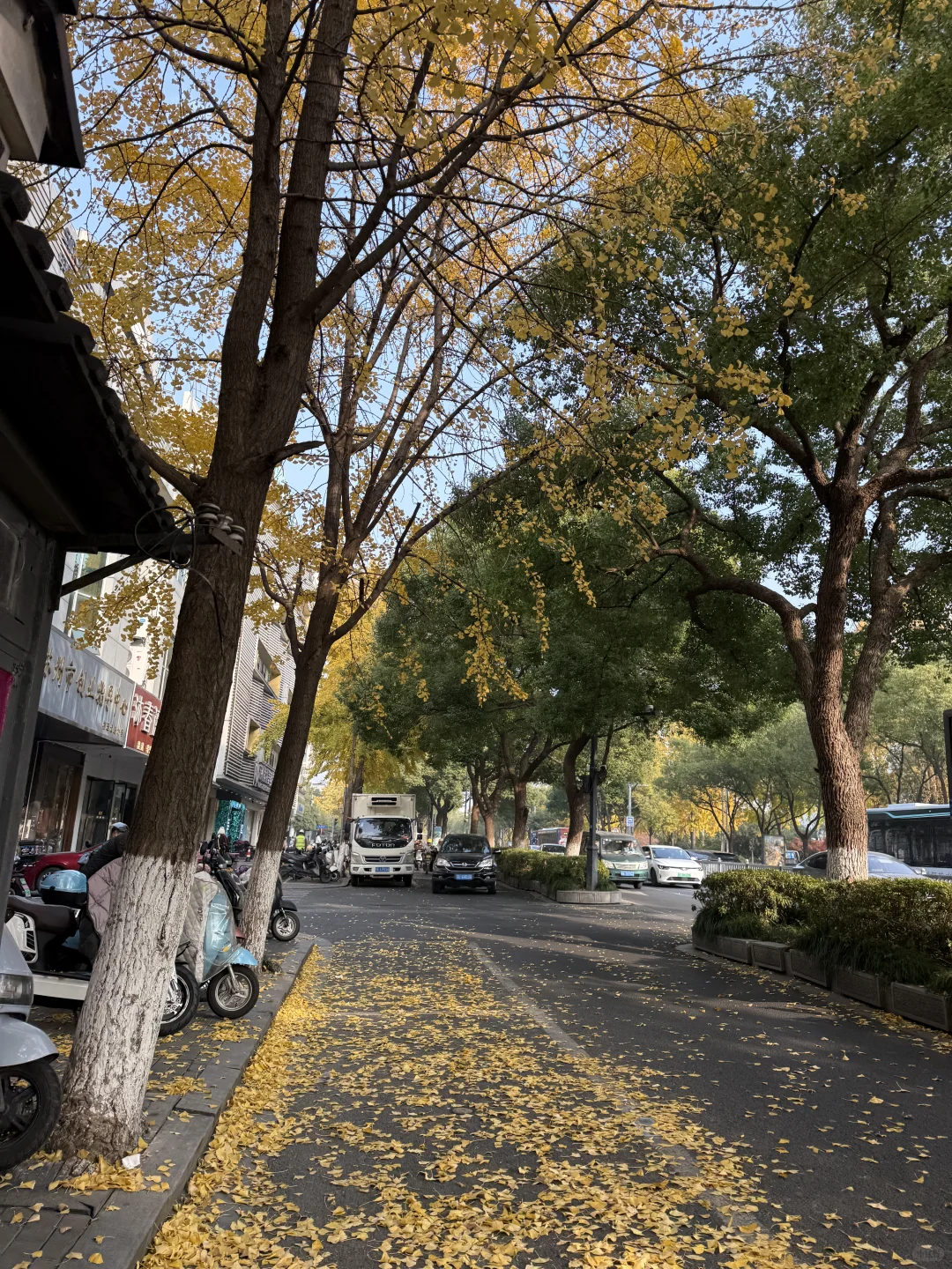 图片壁纸 分享随手拍