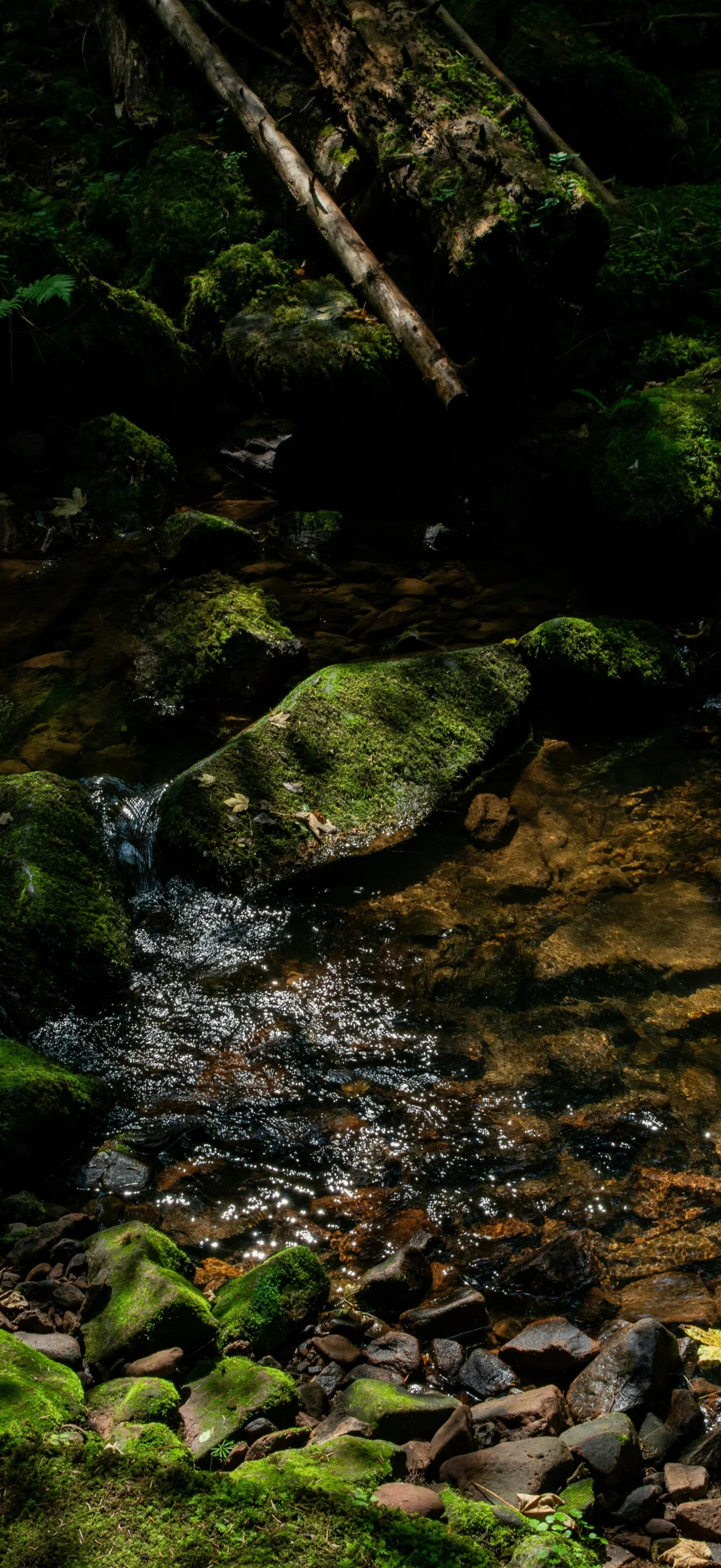 山林湖海 手机壁纸
