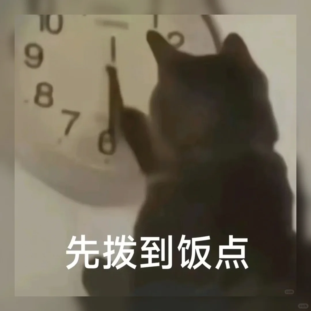 萌到犯规！🔥私藏99组治愈系聊天表情包，