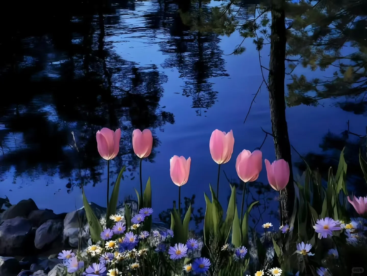 Share|3D景深壁纸