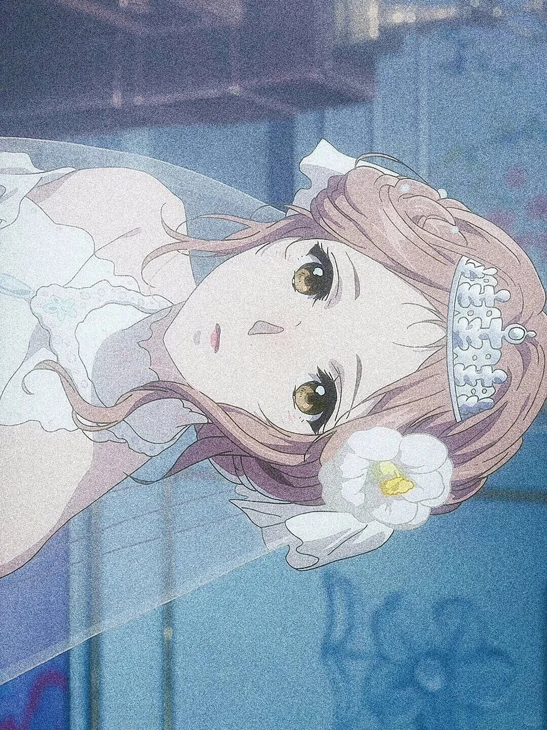 日番壁纸🌈💨