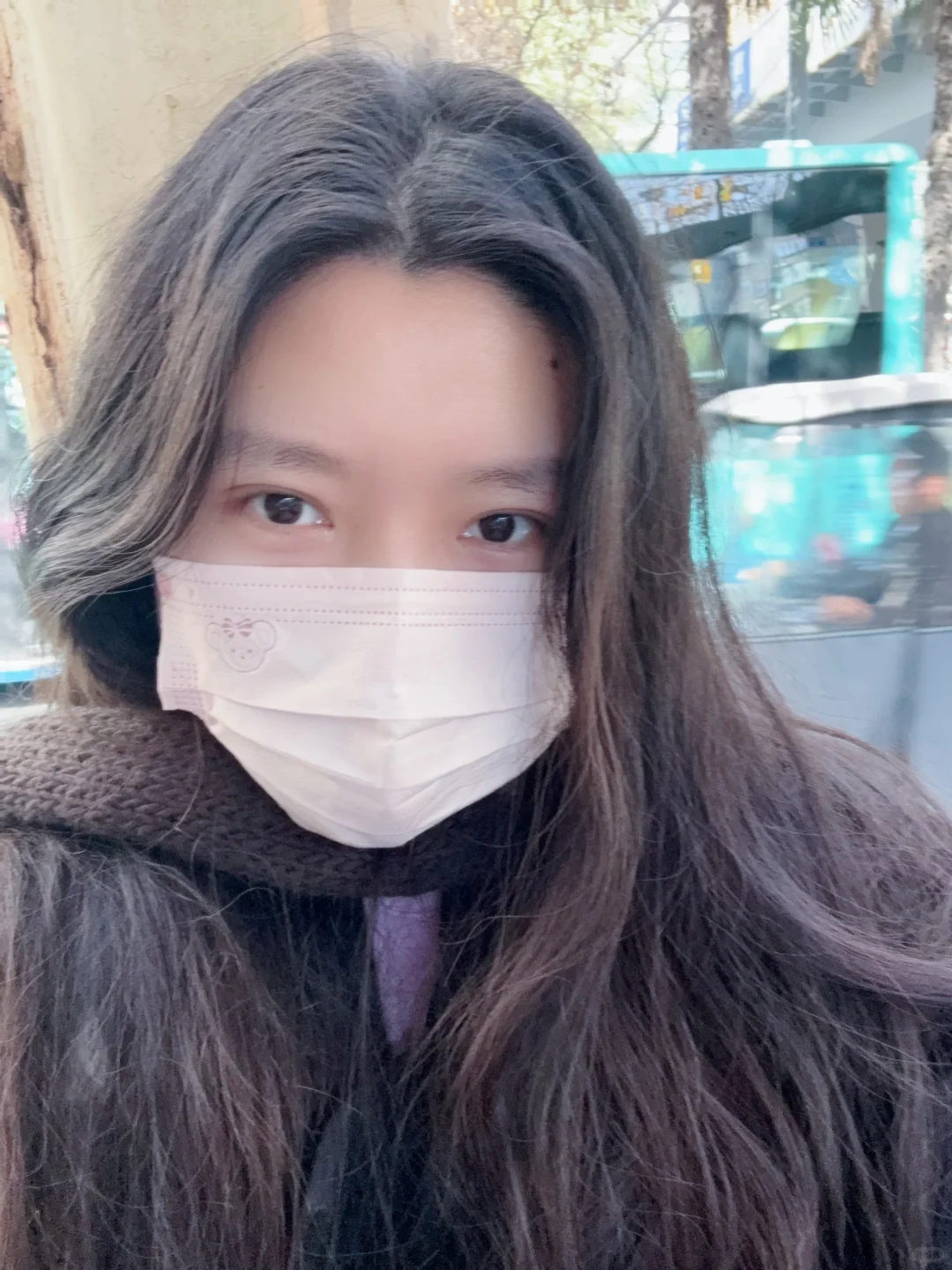 淡淡的老式女友