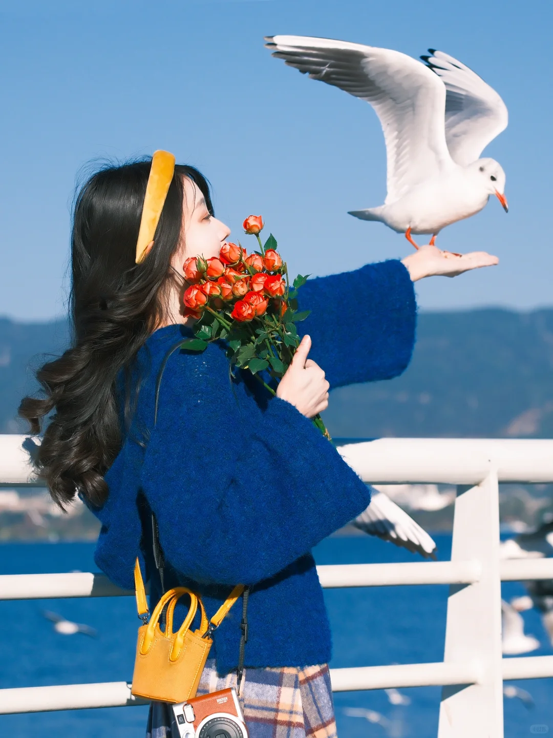 海边拍照 蓝调时刻🎞️冬天与海鸥都如约而至