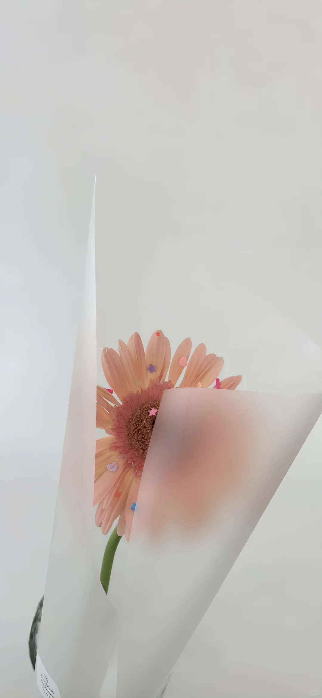 14张治愈系手机壁纸，治愈你的所有不开心！